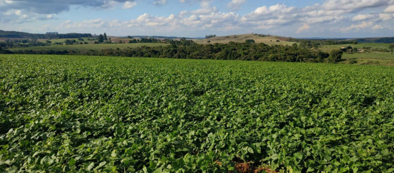 Imagem Fazenda à Venda, 70 m² em Rural - Itapetininga Imagem Fazenda à Venda, 70 m² em Rural - Itapetininga
