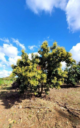 Imagem Fazenda à Venda, 44.500 m² em Monte Mor - Monte Mor Imagem Fazenda à Venda, 44.500 m² em Monte Mor - Monte Mor