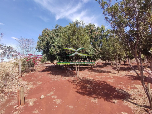 Imagem Chácara à Venda, 2 m² em Centro - Uberlândia Imagem Chácara à Venda, 2 m² em Centro - Uberlândia