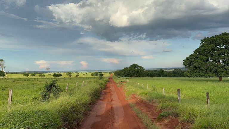 Imagem Fazenda à Venda, 5.793 m² em Rural - Nova Andradina Imagem Fazenda à Venda, 5.793 m² em Rural - Nova Andradina