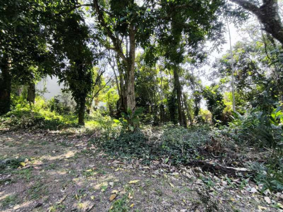 Imagem Terreno à Venda, 318 m² em Várzea Das Moças - Niterói Imagem Terreno à Venda, 318 m² em Várzea Das Moças - Niterói