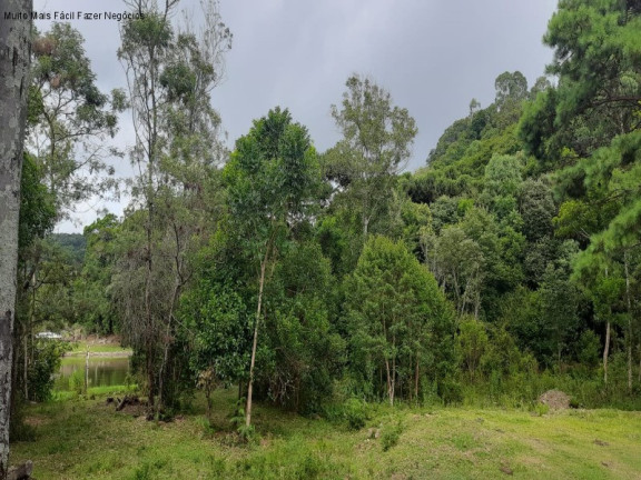 Imagem Terreno à Venda, 1 m² em Fazenda Pirajá - Nova Petrópolis Imagem Terreno à Venda, 1 m² em Fazenda Pirajá - Nova Petrópolis