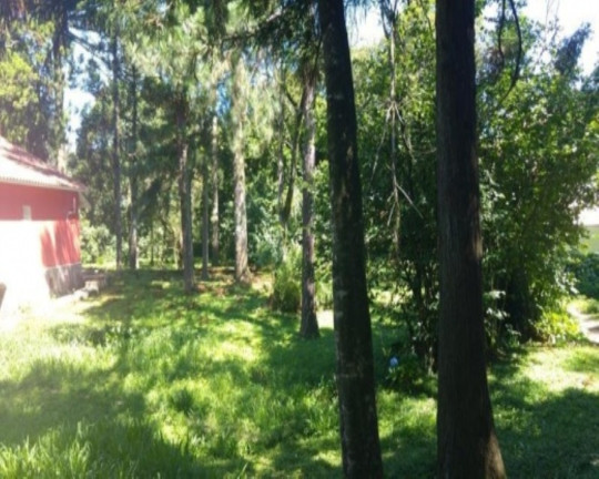 Imagem Casa com 4 Quartos à Venda, 170 m² em Piá - Nova Petrópolis Imagem Casa com 4 Quartos à Venda, 170 m² em Piá - Nova Petrópolis