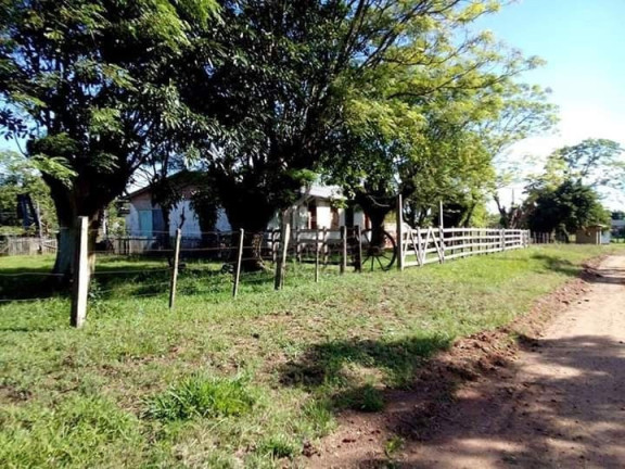 Imagem Imóvel com 3 Quartos à Venda, 62.000 m² em Zona Rural - Formigueiro