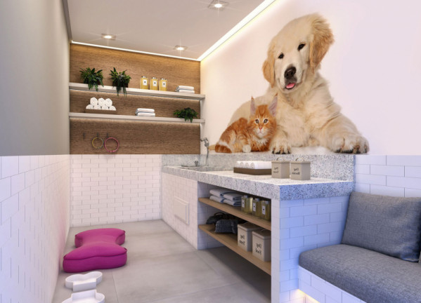 Imagem Apartamento com 2 Quartos à Venda, 34 m² em Cambuci - São Paulo Imagem Apartamento com 2 Quartos à Venda, 34 m² em Cambuci - São Paulo