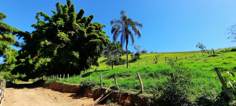 Imagem Imóvel com 3 Quartos à Venda, 11 m² em Barreiro 2 (rural) - Caldas