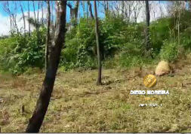 Terreno à Venda, 602 m² em Terra Preta - Mairiporã