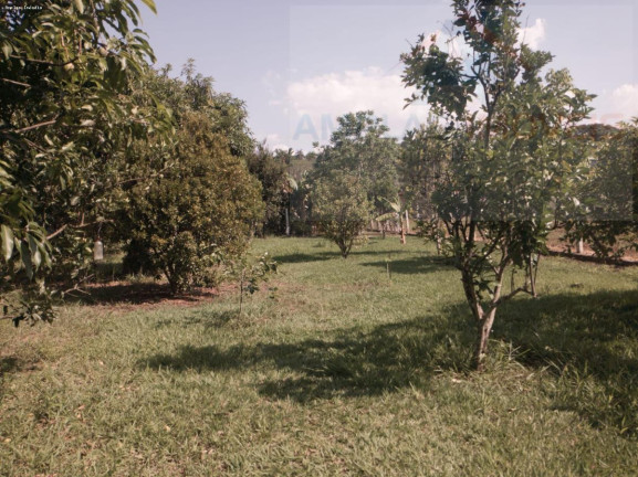 Imagem Chácara com 2 Quartos à Venda, 4.326 m² em Azurita Imagem Chácara com 2 Quartos à Venda, 4.326 m² em Azurita