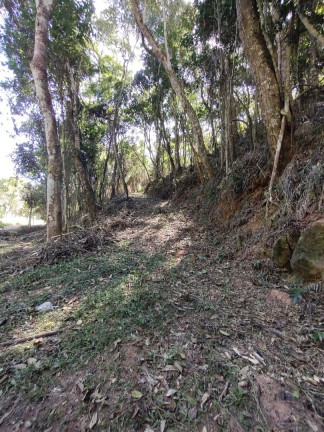 Imagem Terreno à Venda, 2.500 m² em Albuquerque - Teresópolis Imagem Terreno à Venda, 2.500 m² em Albuquerque - Teresópolis