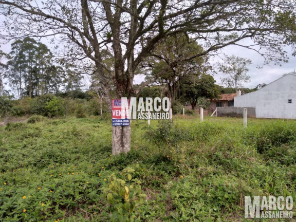 Imagem Terreno à Venda, 305 m² em Costeira - Balneário Barra Do Sul Imagem Terreno à Venda, 305 m² em Costeira - Balneário Barra Do Sul