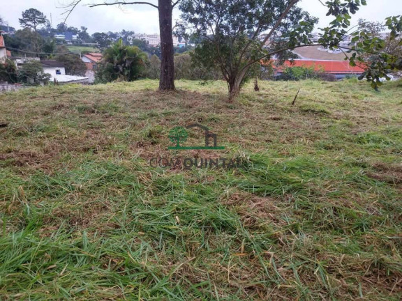 Imagem Imóvel Comercial à Venda, 10 m² em Jardim Guerreiro - Cotia Imagem Imóvel Comercial à Venda, 10 m² em Jardim Guerreiro - Cotia