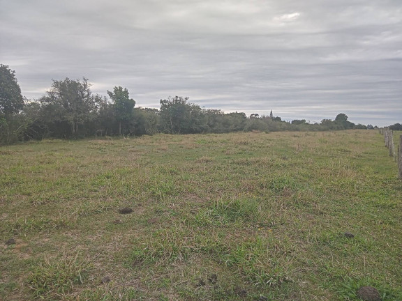 Imagem Chácara com 2 Quartos à Venda, 20.000 m² em águas Claras - Viamão
