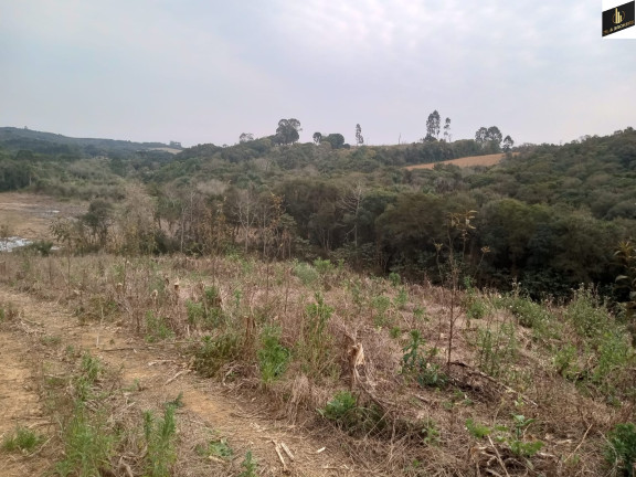 Imóvel à Venda, 96.800 m² em Colonia Marcelino - São José Dos Pinhais