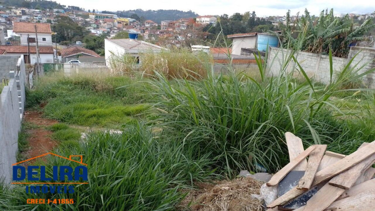 Terreno à Venda, 250 m² em Terra Preta (terra Preta) - Mairiporã