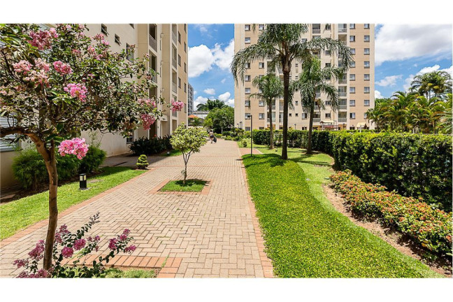 Imagem Apartamento com 3 Quartos à Venda, 65 m² em água Branca - São Paulo Imagem Apartamento com 3 Quartos à Venda, 65 m² em água Branca - São Paulo