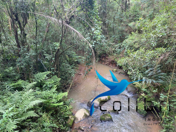 Imagem Chácara à Venda, 20.637 m² em Lagoa Dos Pretos - Agudos Do Sul