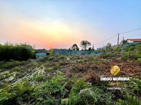 Imagem Chácara com 3 Quartos à Venda, 116 m² em Terra Preta - Mairiporã Imagem Chácara com 3 Quartos à Venda, 116 m² em Terra Preta - Mairiporã