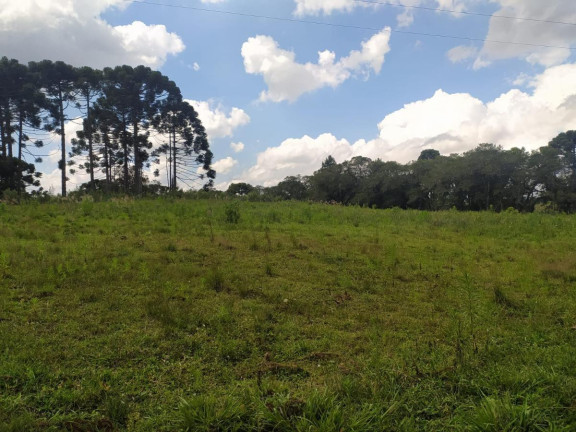Imagem Terreno à Venda, 5.000 m² em Contenda - São José Dos Pinhais Imagem Terreno à Venda, 5.000 m² em Contenda - São José Dos Pinhais