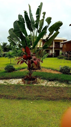 Imagem Casa à Venda, 4.600 m² em Barra Grande - Marau Imagem Casa à Venda, 4.600 m² em Barra Grande - Marau