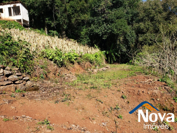 Imagem Imóvel à Venda, 6.862 m² em Vila Olinda - Nova Petrópolis