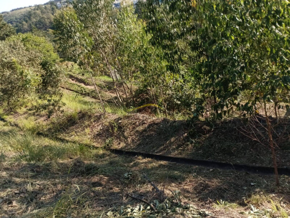 Imagem Terreno em Condomínio à Venda, 320 m² em Chácaras Aracary - Várzea Paulista Imagem Terreno em Condomínio à Venda, 320 m² em Chácaras Aracary - Várzea Paulista