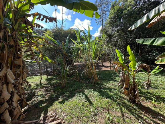 Imagem Chácara com 5 Quartos à Venda, 5 m² em Cachaça Pendão - Itatiaiuçu