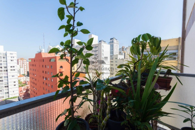 Imagem Apartamento com 4 Quartos à Venda, 260 m² em Pinheiros - São Paulo Imagem Apartamento com 4 Quartos à Venda, 260 m² em Pinheiros - São Paulo