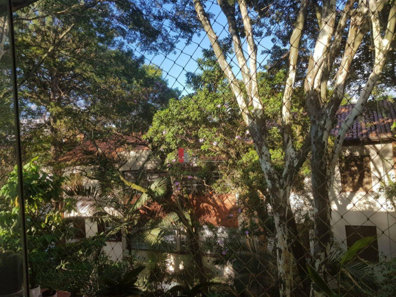 Imagem Apartamento com 3 Quartos à Venda, 97 m² em Vila Mariana - São Paulo