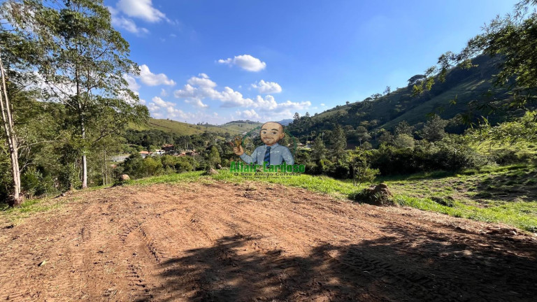 Chácara à Venda, 8.000 m² em Centro - Paraibuna