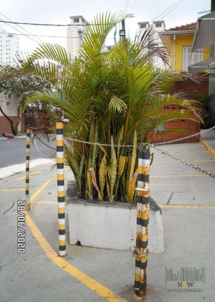 Imagem Loja para Alugar, 79 m² em Vila Leopoldina - São Paulo Imagem Loja para Alugar, 79 m² em Vila Leopoldina - São Paulo