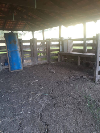 Imagem Chácara com 3 Quartos à Venda, 5 m² em Alexânia Imagem Chácara com 3 Quartos à Venda, 5 m² em Alexânia
