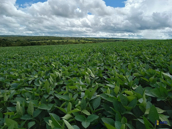 Imagem Chácara à Venda,  em área Rural - Tupaciguara