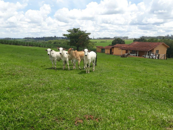 Imagem Fazenda à Venda, 35 m² em Rural - Bauru Imagem Fazenda à Venda, 35 m² em Rural - Bauru