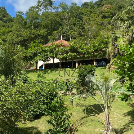 Imóvel com 6 Quartos à Venda, 65.000 m² em Tomaz Coelho - Brusque