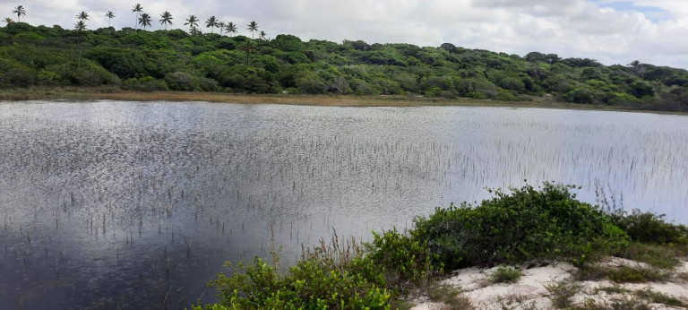 Imagem Terreno à Venda, 600 m² em Praia Do Forte - Mata De São João Imagem Terreno à Venda, 600 m² em Praia Do Forte - Mata De São João