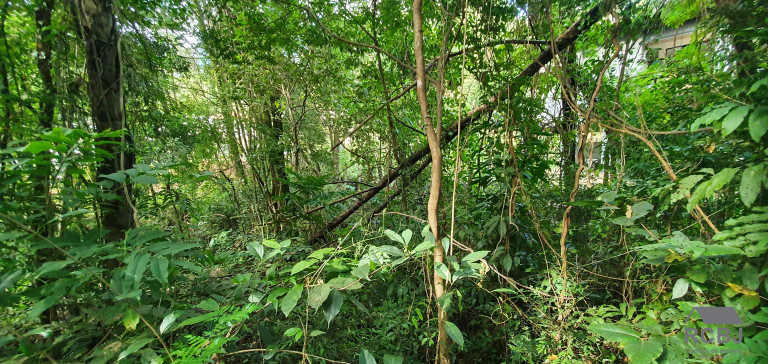 Imagem Terreno à Venda, 1.000 m² em Retiro Do Chalé - Brumadinho