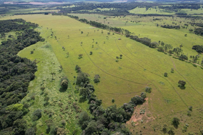 Fazenda à Venda, 42 m² em Zona Rural - Uberaba
