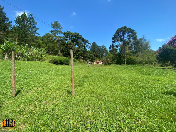 Imagem Terreno à Venda, 239.000 m² em Centro São Lorenço Da Serra - São Lourenço Da Serra Imagem Terreno à Venda, 239.000 m² em Centro São Lorenço Da Serra - São Lourenço Da Serra