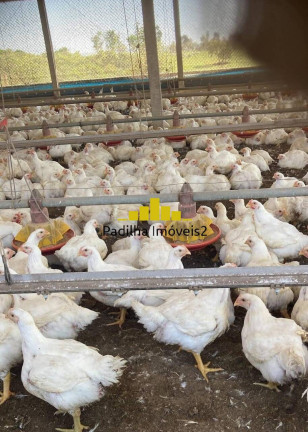 Imagem Chácara à Venda, 23 m² em Itapetininga Imagem Chácara à Venda, 23 m² em Itapetininga