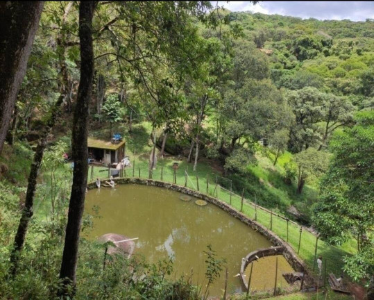 Imagem Chácara com 3 Quartos à Venda, 48.000 m² em Portão - Atibaia
