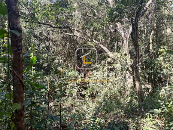 Imagem Terreno à Venda, 20.000 m² em Piedade Do Paraopeba - Brumadinho Imagem Terreno à Venda, 20.000 m² em Piedade Do Paraopeba - Brumadinho