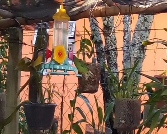 Imagem Imóvel com 3 Quartos à Venda,  em Vale Verde - Nova Petrópolis