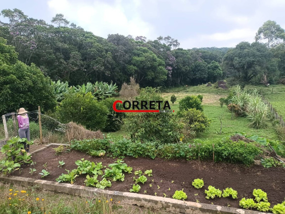 Imagem Chácara com 3 Quartos à Venda, 8 m² em Vargem Do Salto - Ibiúna