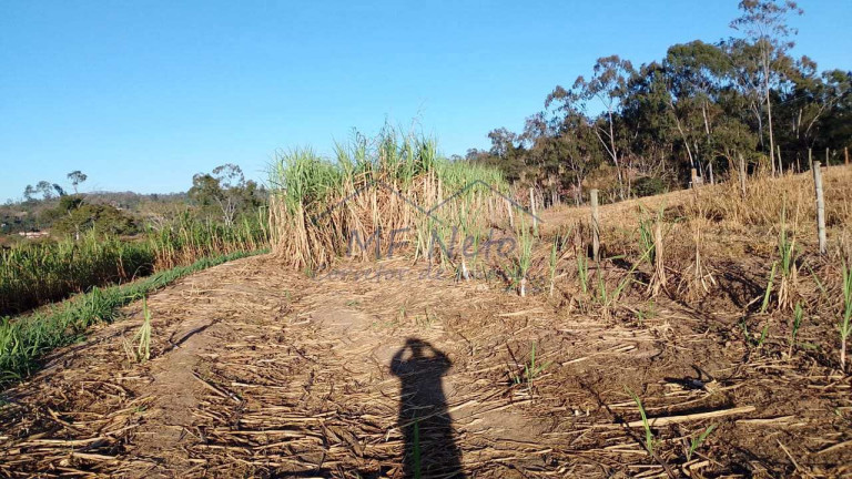Imagem Fazenda à Venda, 2.500 m² em Vertentes Do Mamonal - Pirassununga Imagem Fazenda à Venda, 2.500 m² em Vertentes Do Mamonal - Pirassununga