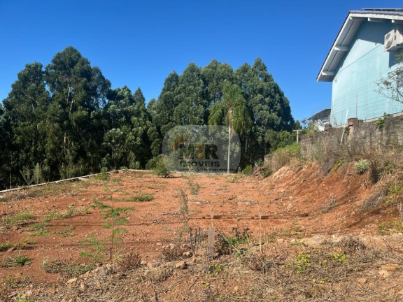 Imagem Terreno à Venda, 450 m² em Residencial Dos Platanos - Nova Petrópolis Imagem Terreno à Venda, 450 m² em Residencial Dos Platanos - Nova Petrópolis