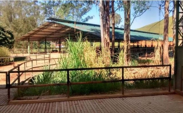 Imagem Fazenda à Venda, 500 m² em Centro - Lagoinha Imagem Fazenda à Venda, 500 m² em Centro - Lagoinha