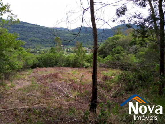 Imagem Imóvel à Venda, 120.000 m² em Linha Temerária - Nova Petrópolis Imagem Imóvel à Venda, 120.000 m² em Linha Temerária - Nova Petrópolis