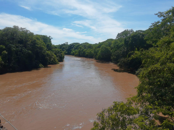 Imagem Imóvel com 1 Quarto à Venda, 21.000 m² em Zona Rural - Palmeiras (dois Irmãos Do Buriti)