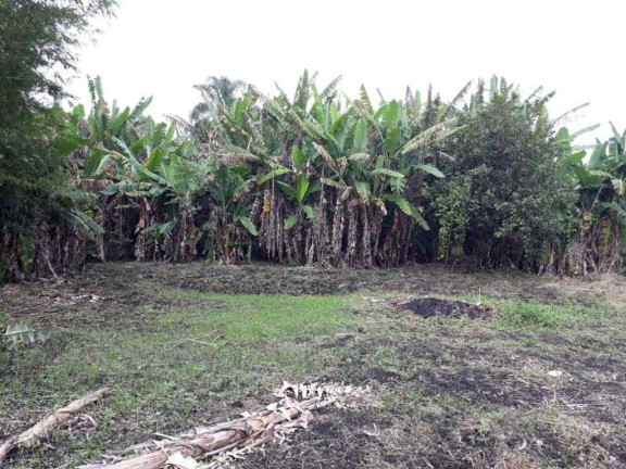 Imagem Terreno à Venda, 4.284 m² em São João - Jacareí Imagem Terreno à Venda, 4.284 m² em São João - Jacareí