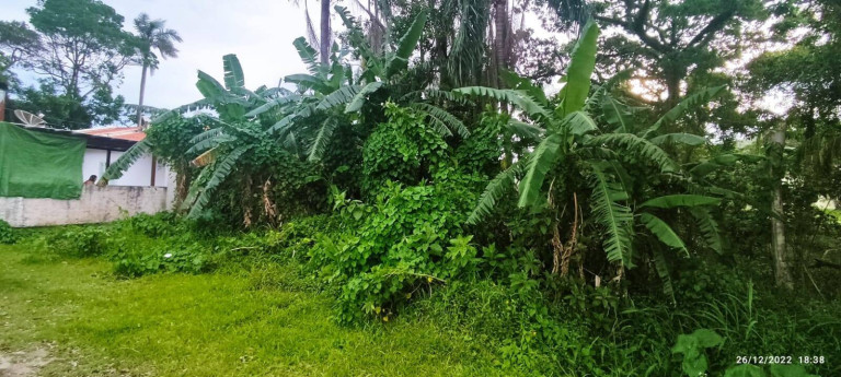 Imagem Terreno à Venda, 266 m² em Zimbros - Bombinhas